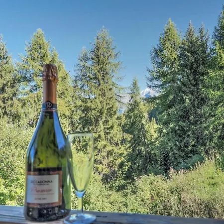 Chardon Bleu Peisey-Nancroix